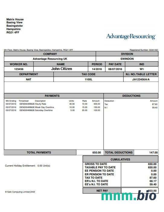 USA ADVANTANGE resourcing paystub w formatach Word i PDF